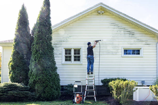 Best Gutter Cleaning  in Dade City, FL